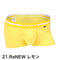 21.ReNEW レモン