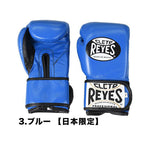 レイジェス Reyes スパーリングトレーニング用グローブ マジックテープ ベルクロ式 10オンス レディース 用 グローブ