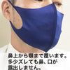 マスク 3枚セット 日本製 呼吸がしやすい 抗菌・防臭 制菌 UV機能 さらさら